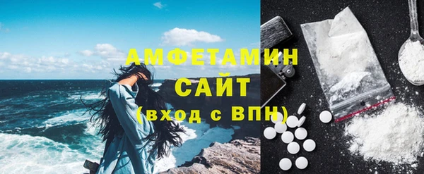 молекула духа Вязьма