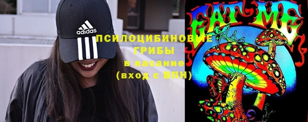 марки lsd Вяземский