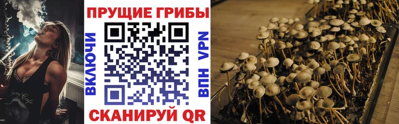 Галлюциногенные грибы Psilocybine cubensis  что такое наркотик  Магнитогорск 